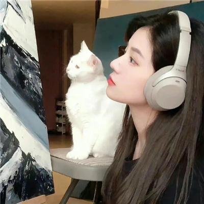 脂粉双枪侠