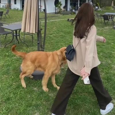相中情书
